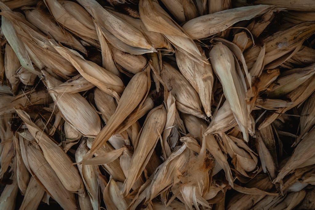 A close-up view of a pile of dried corn husks with earthy tones, perfect for autumn themes.