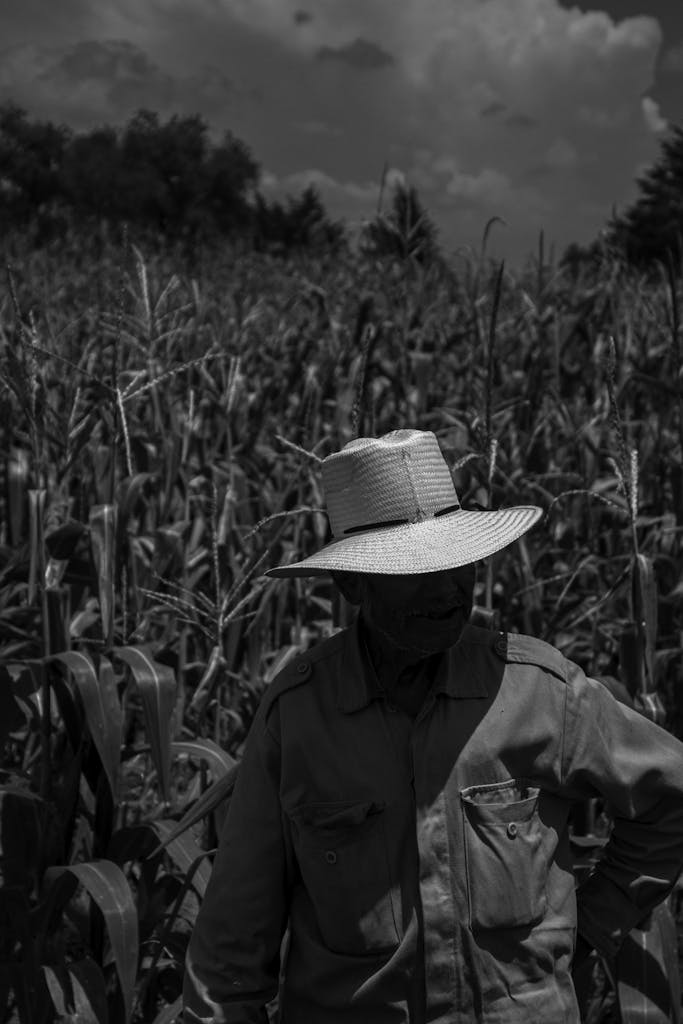 Intimate black and white portrait of a farmer in a Mexican corn field, evoking traditional rural life.